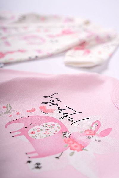 Σετ Φορμάκια